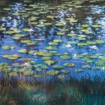 waterlillies_jeff_shot-1024