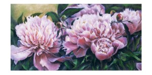 peonies_wrap_around_6