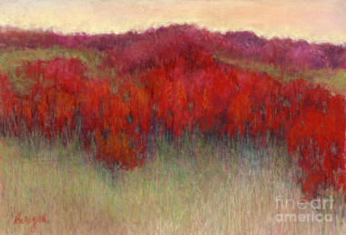 Red Treeline at Dusk